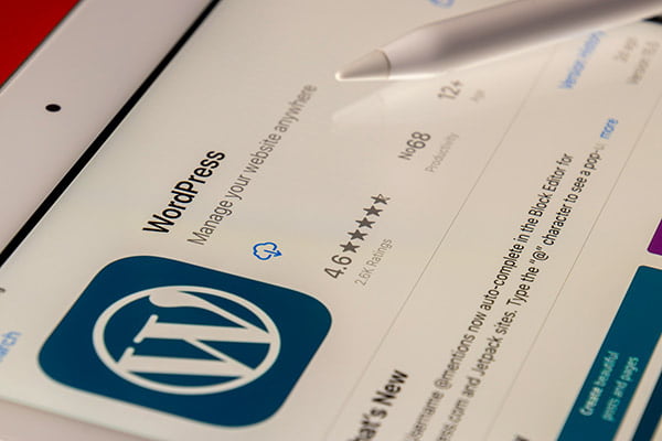 full stack wordpress developer services